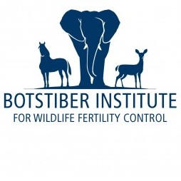 BIWFC's avatar